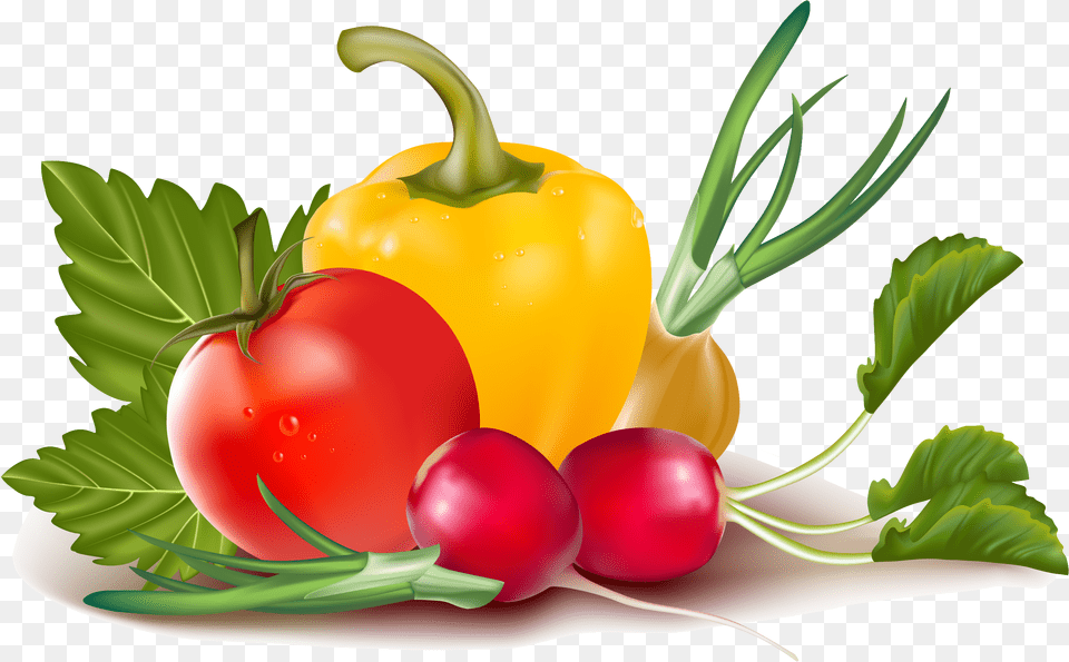 Vector, Food, Produce, Bell Pepper, Pepper Png Image