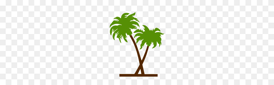 Vector, Leaf, Palm Tree, Plant, Tree Free Transparent Png