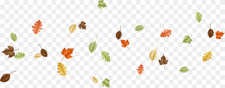 Vector, Leaf, Plant, Tree Png