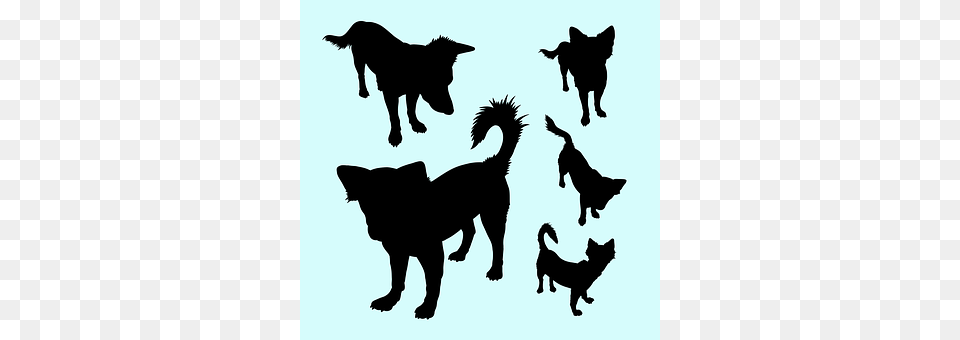 Vector Silhouette, Stencil, Animal, Canine Png