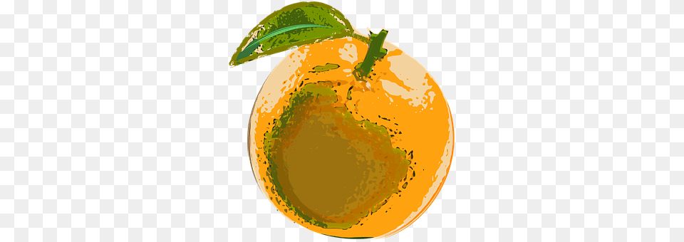 Vector Citrus Fruit, Food, Fruit, Plant Png