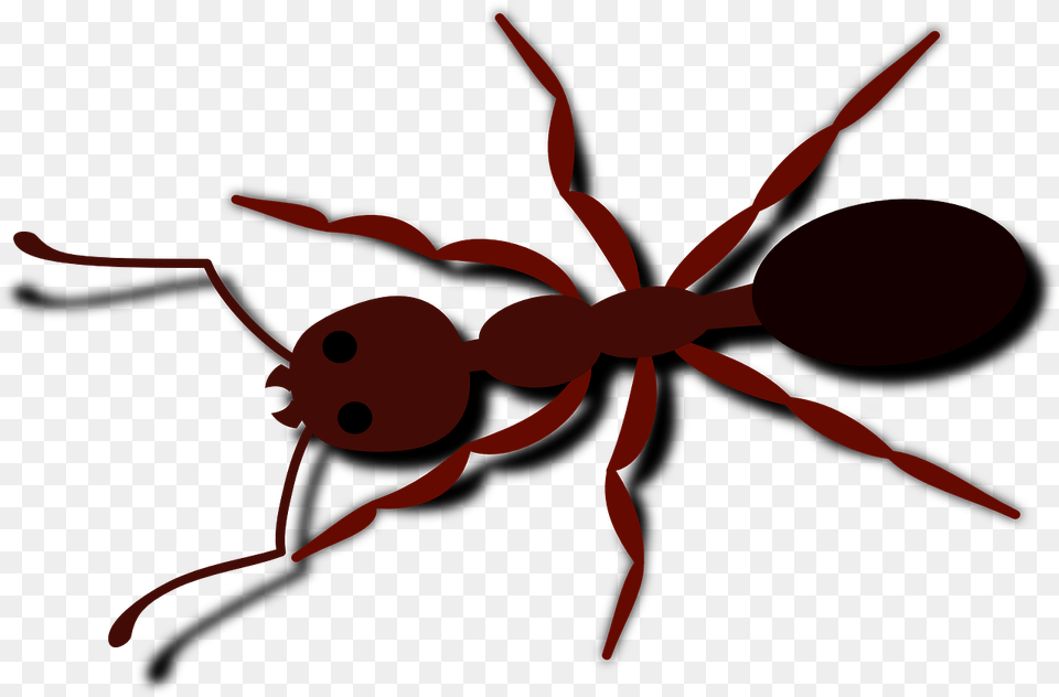 Vector Ant Ant Clip Art, Animal, Insect, Invertebrate, Spider Free Png