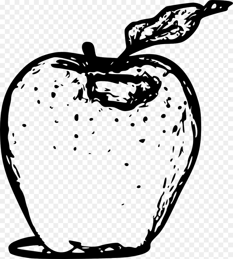 Vector Apple Line Art Apple Black And White Images In, Gray Free Png