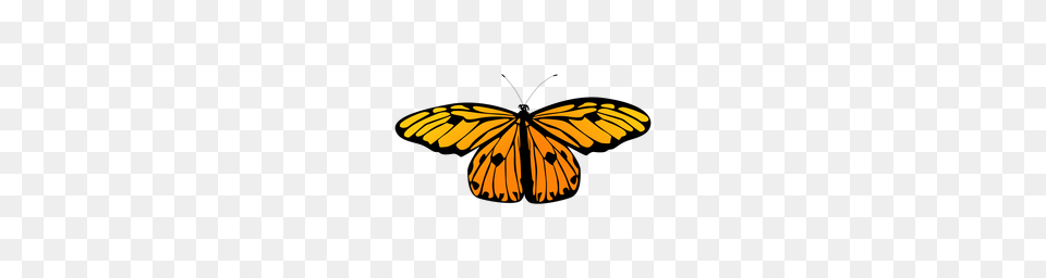 Vector Art, Animal, Butterfly, Insect, Invertebrate Png