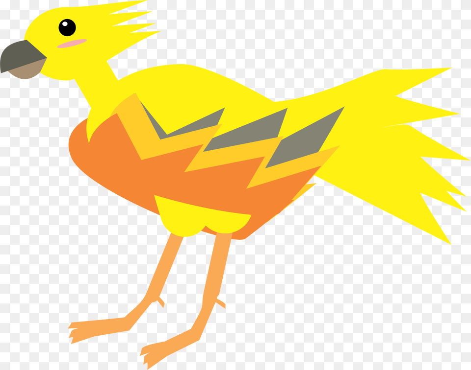 Vector Art, Animal, Beak, Bird, Fish Free Png