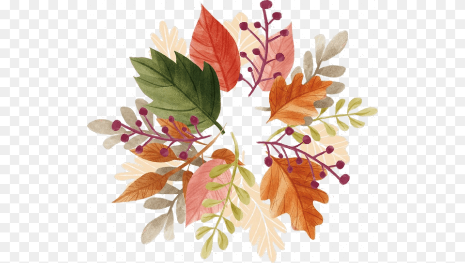 Vector Autumn Leaves, Art, Floral Design, Graphics, Leaf Free Transparent Png