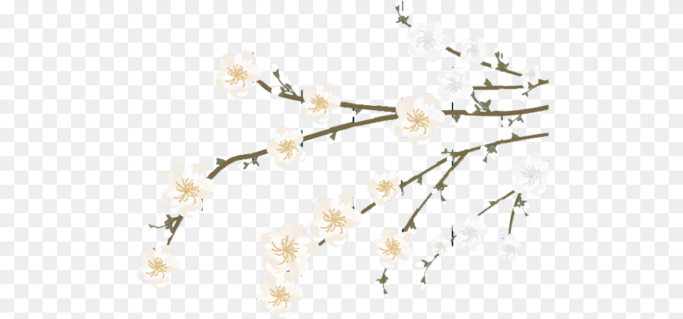 Vector Baby Flower, Plant, Chandelier, Lamp, Accessories Free Transparent Png