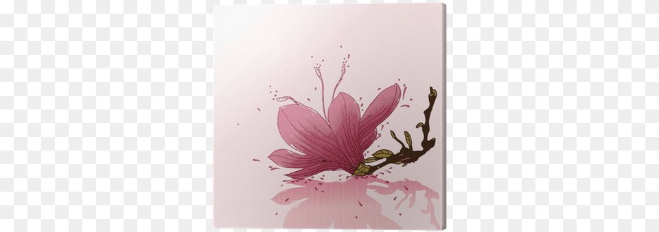 Vector Background With A Single Flower Canvas Print Euclidean Vector, Plant, Petal, Cherry Blossom, White Board Png Image