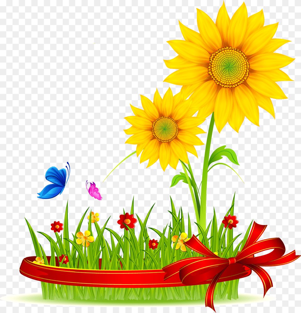 Vector Background With Yellow Sunflowers, Daisy, Plant, Flower, Petal Free Transparent Png