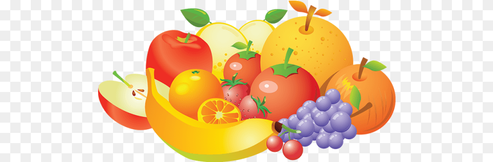 Vector Banner Fruit Fruits Vector, Food, Plant, Produce, Citrus Fruit Png