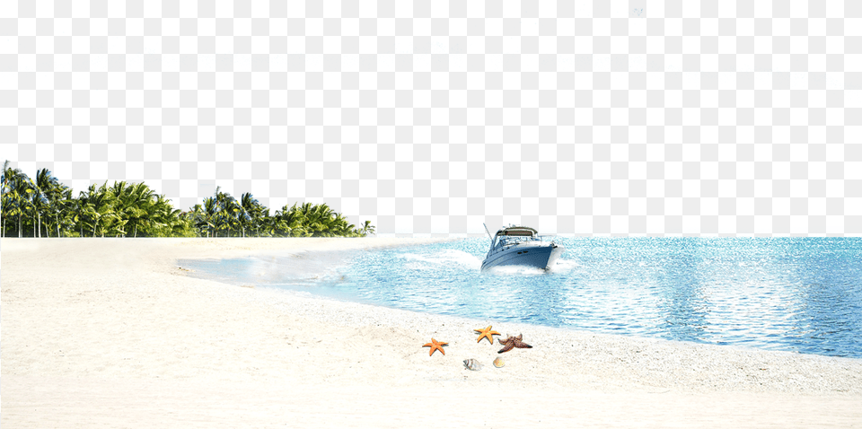 Vector Beach Background Wallpaper Wallpaper, Summer, Shoreline, Sea, Water Png Image
