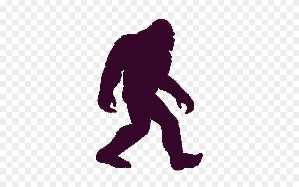 Vector Bigfoot Shared, Baby, Person Free Png