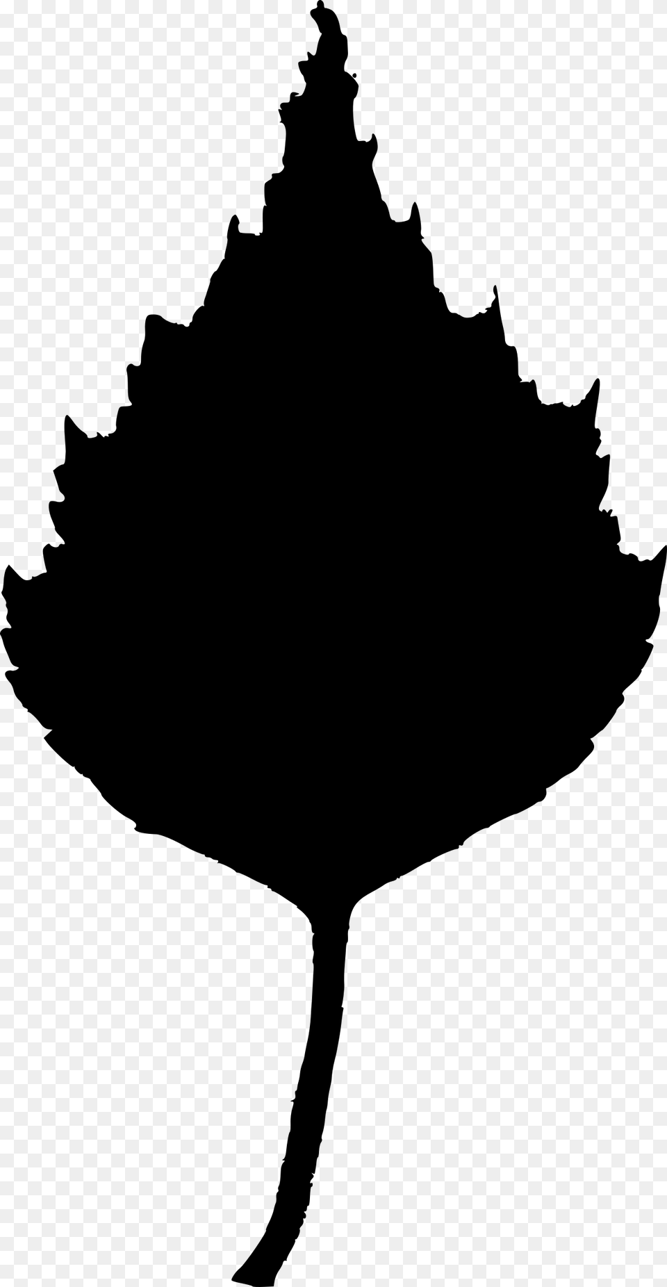 Vector Birch Leaf Silhouette Siluet Lista Berezi, Gray Free Png Download