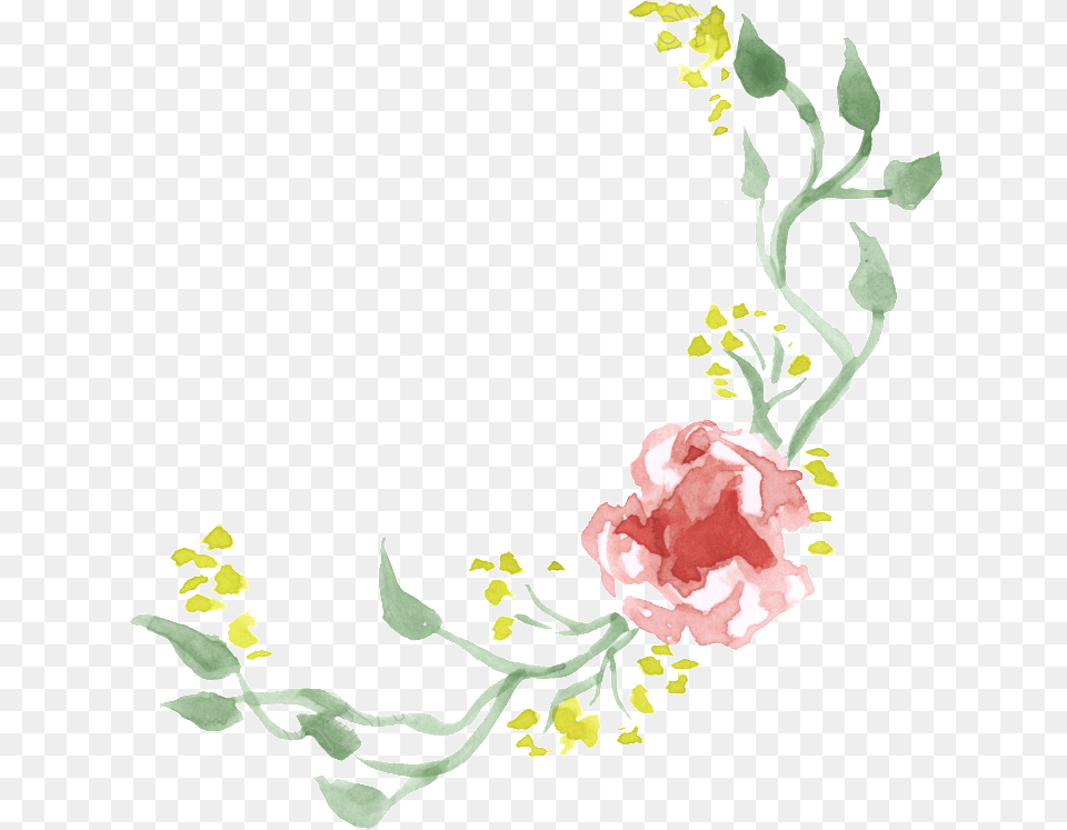 Vector Black And White Border Decorative Files Transparent Decorative Border, Carnation, Flower, Plant, Rose Png Image