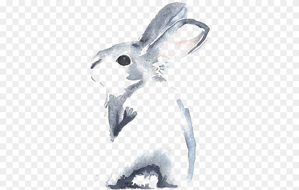 Vector Black And White Library Cinnamon Rabbit Watercolour Rabbit Watercolor Painting, Adult, Female, Person, Woman Png Image