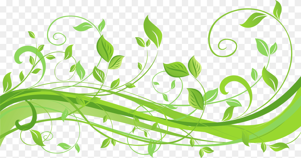 Vector Black And White Spring Decoration With Leaves, Art, Floral Design, Graphics, Green Png Image
