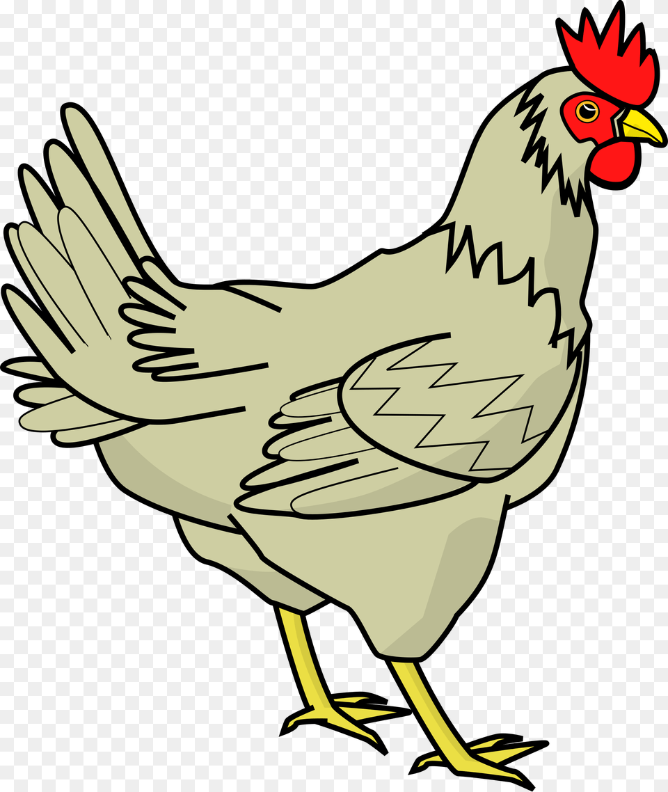 Vector Black And White Stock Files Chicken Cliparts, Animal, Bird, Fowl, Hen Free Transparent Png