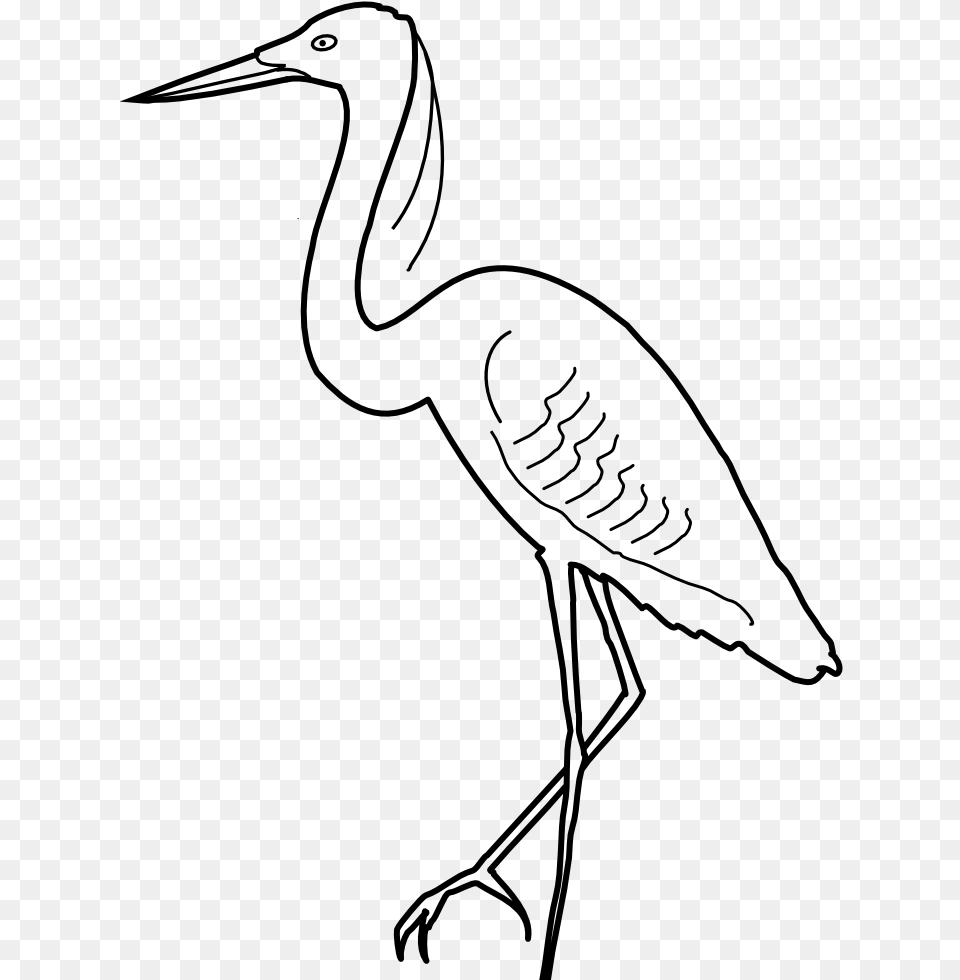 Vector Black And White Stock Images Credit Great Blue Heron, Gray Png