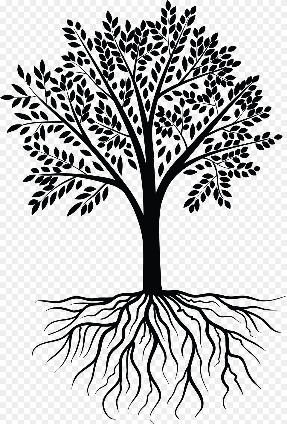 Vector Black White Design White Tree Vector, Art, Drawing, Plant Free Transparent Png