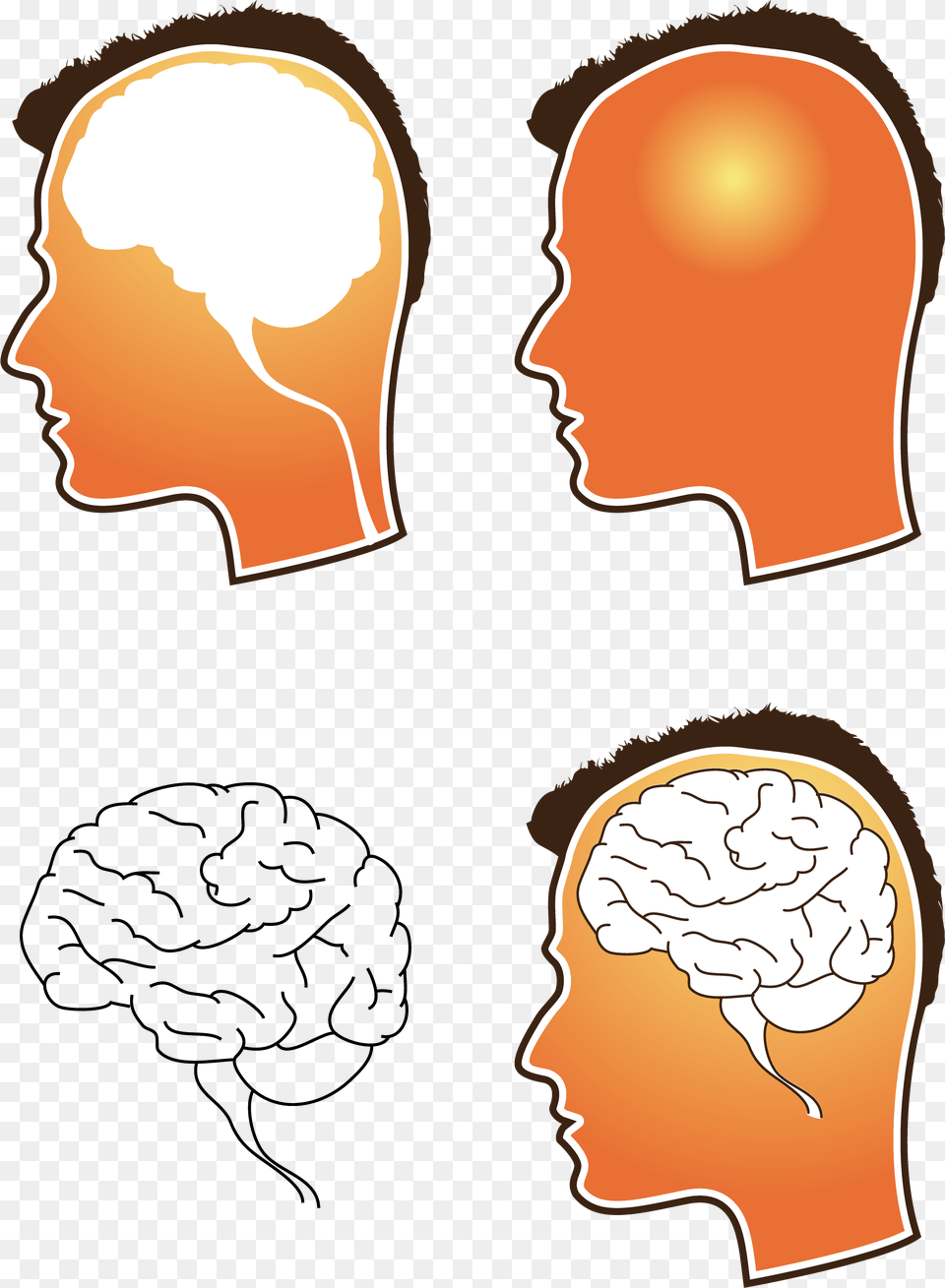 Vector Brain, Body Part, Face, Head, Neck Png