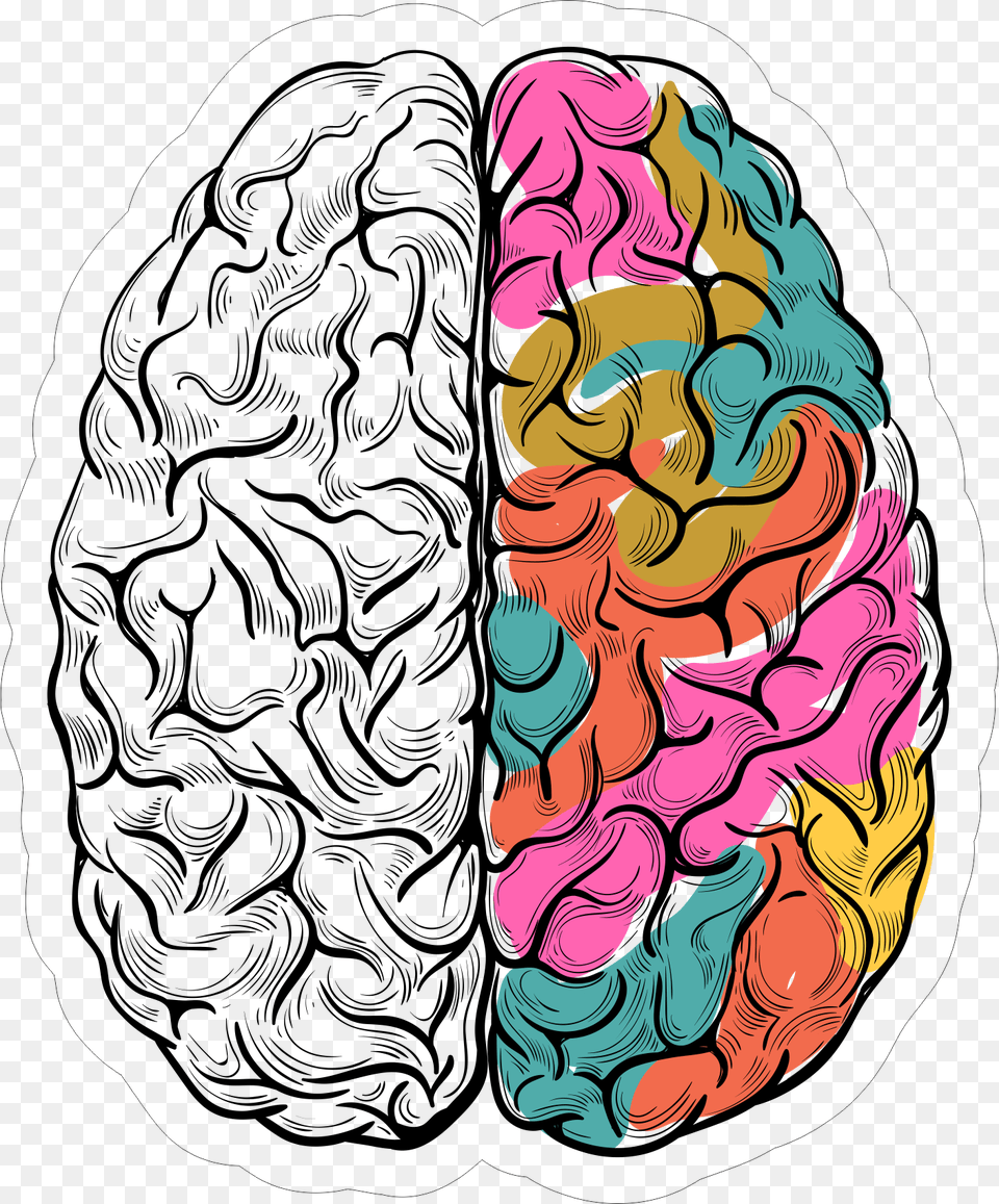 Vector Brain Free Sticker Transparent Mental Health Brain, Art, Doodle, Drawing, Modern Art Png Image