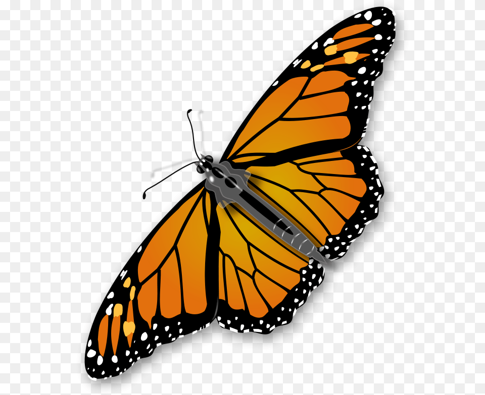 Vector Bug Butterfly Monarch Butterfly Background, Animal, Insect, Invertebrate Free Transparent Png