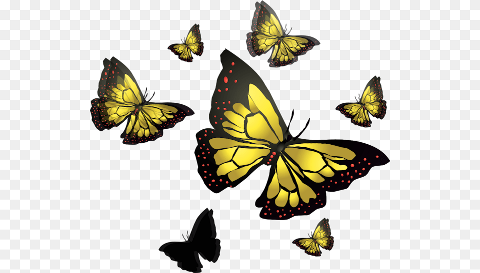 Vector Butterfly Speckled Wood Butterfly, Animal, Insect, Invertebrate, Pattern Free Png Download