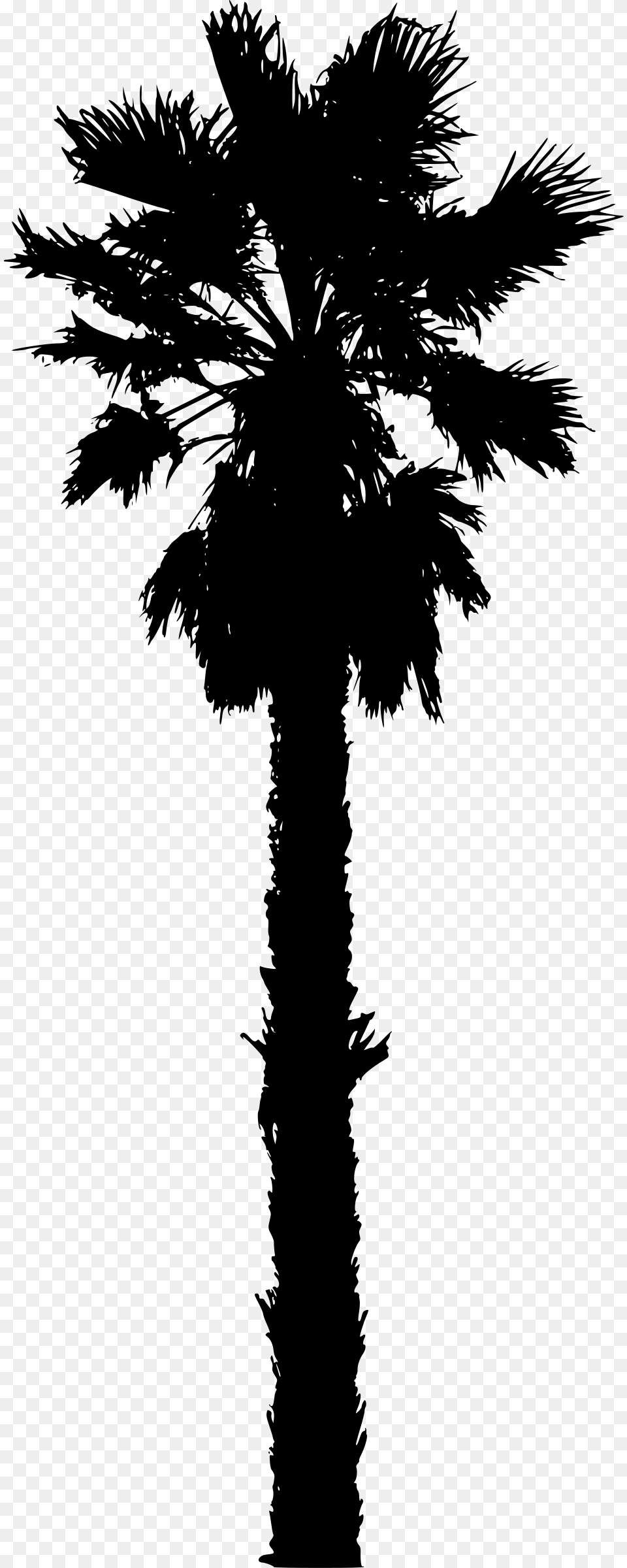 Vector California Palm Tree For Free Download On California Palm Tree Vector, Gray Png