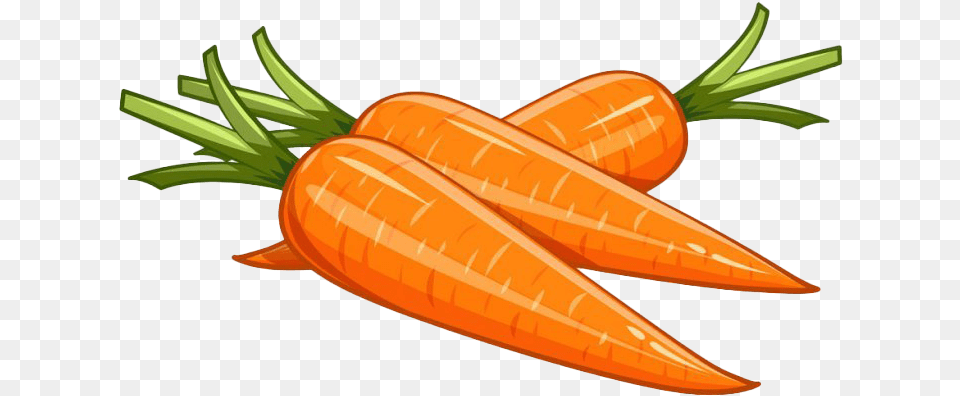 Vector Carrot Picture Transparent Background Carrots Clipart, Food, Plant, Produce, Vegetable Png Image