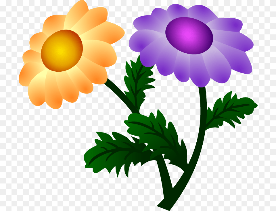 Vector Chrysanthemum, Dynamite, Weapon, Plant, Flower Png Image