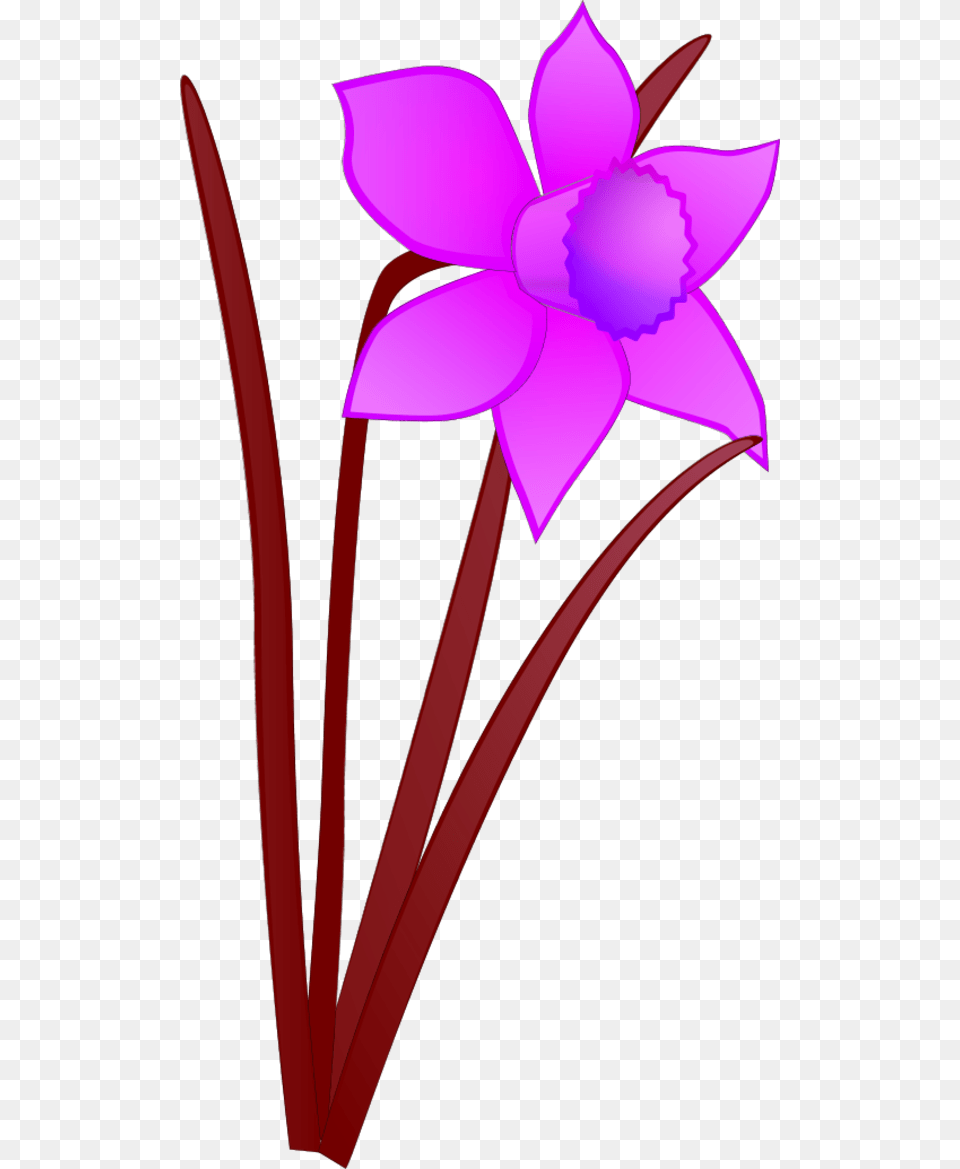 Vector Clip Art, Flower, Plant, Daffodil, Petal Png Image