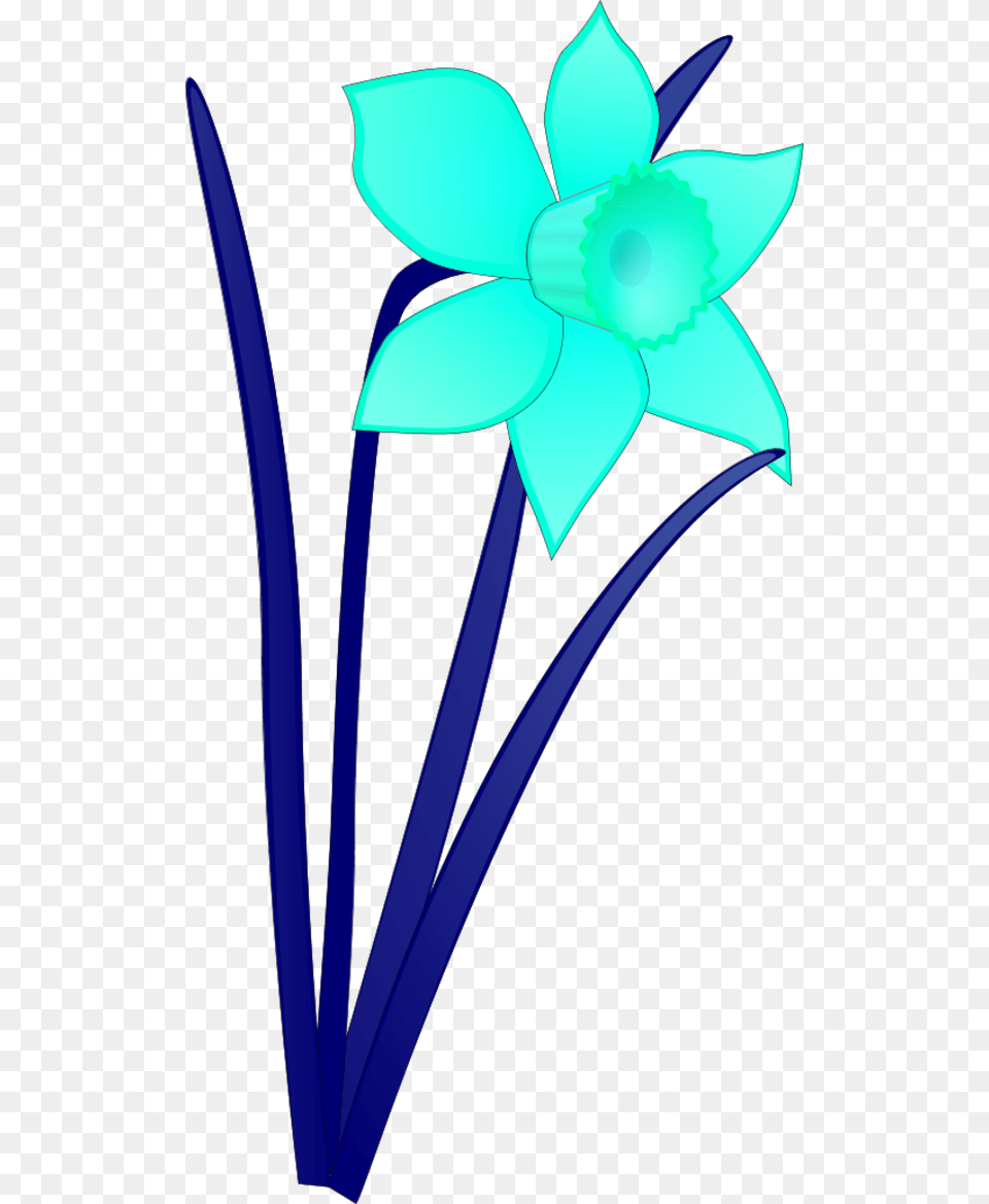 Vector Clip Art Daffodil Clip Art, Flower, Plant, Person Free Png Download