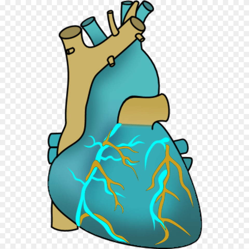 Vector Clip Art Human Heart Clipart, Clothing, Dress, Adult, Female Png