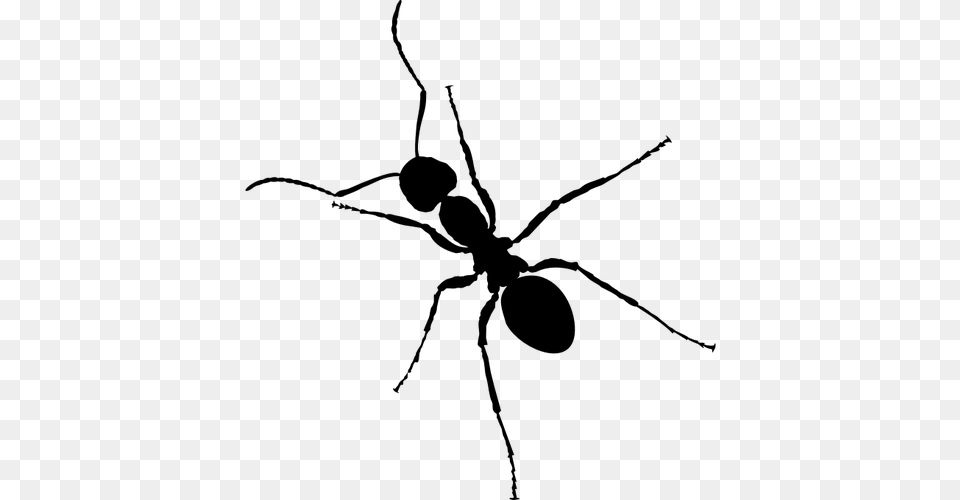 Vector Clip Art Of Ant With Six Legs, Gray Png