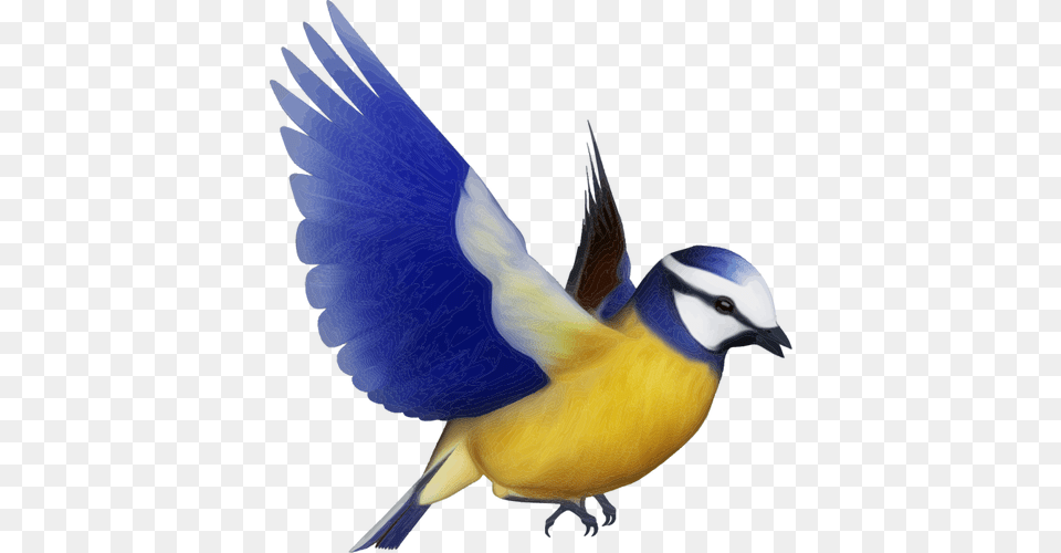 Vector Clip Art Of Colorful Bird, Animal, Finch, Jay, Bluebird Free Png