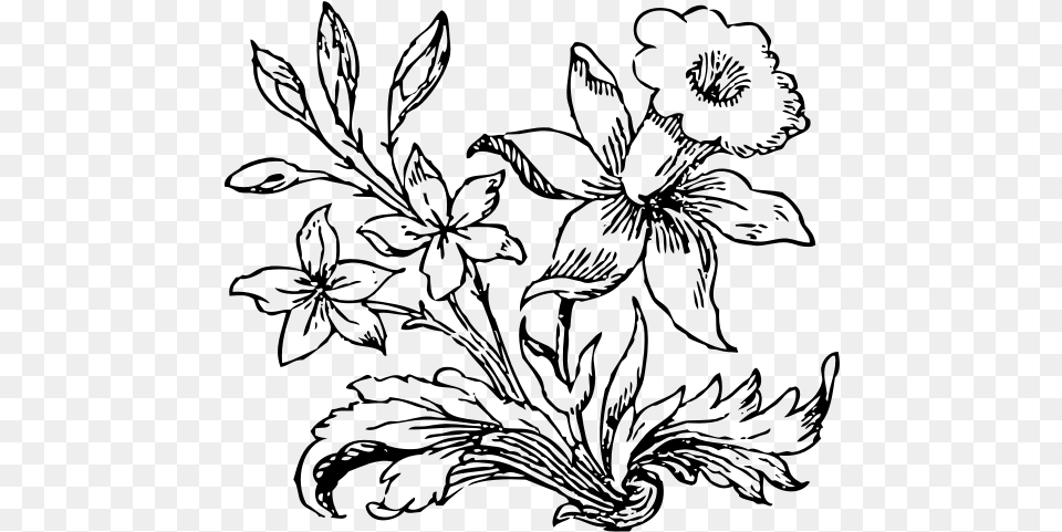 Vector Clip Art Of Little Flower In Black And White Little Flower Drawing, Gray Png Image