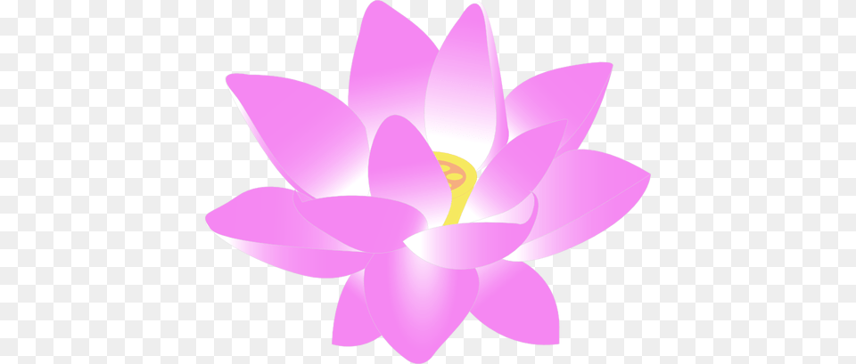 Vector Clip Art Of Lotus Blossom, Flower, Plant, Lily, Pond Lily Free Png