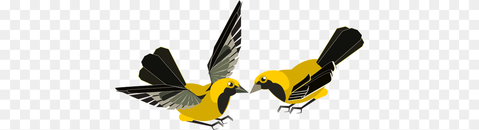Vector Clip Art Of Yellow And Black Bird, Animal, Beak, Finch, Aircraft Free Transparent Png