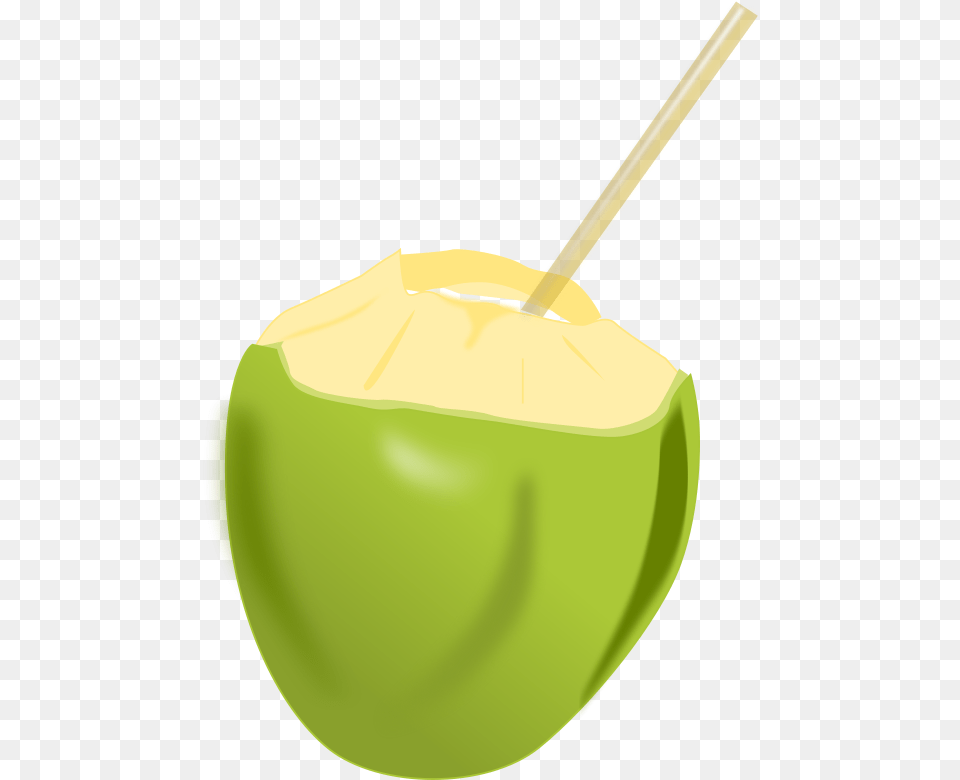 Vector Coconut Coconut, Food, Fruit, Plant, Produce Png Image