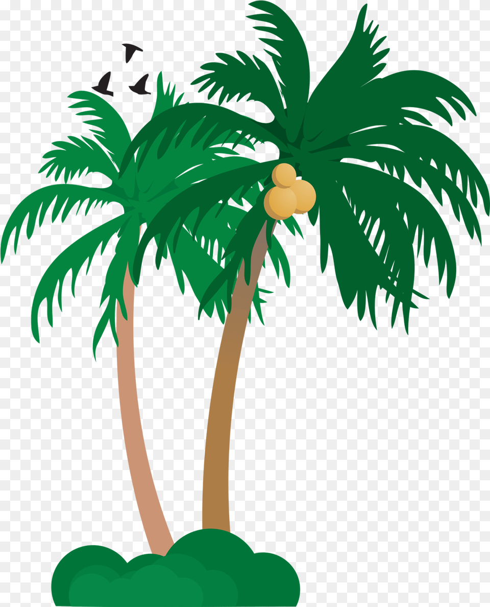 Vector Coconut Tree Coconut Tree Vector, Palm Tree, Plant, Vegetation Png Image