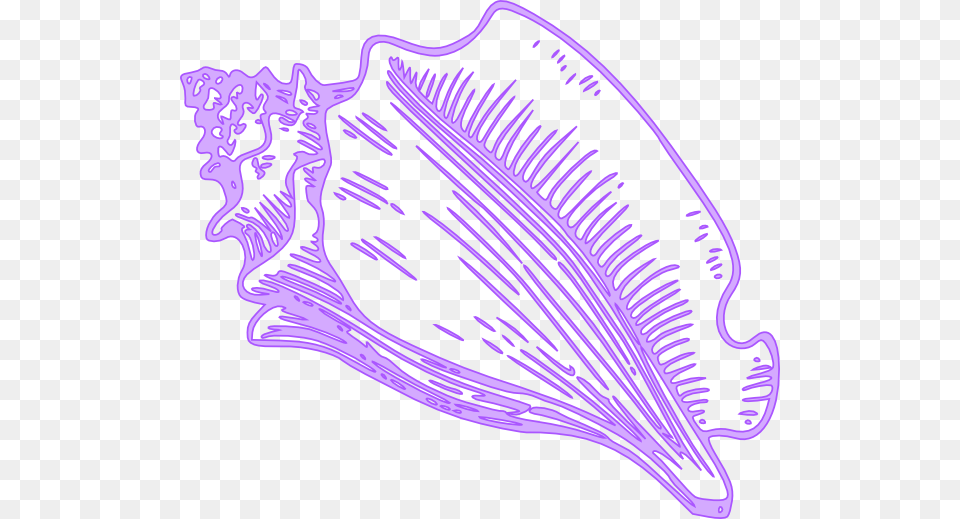 Vector Conch Shell, Animal, Invertebrate, Sea Life, Seashell Free Png Download