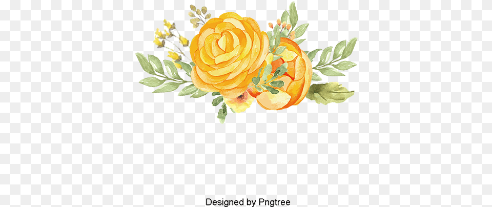 Vector Daisy Vector Daisy Yellow Watercolor Flower Transparent Background, Art, Plant, Pattern, Graphics Free Png