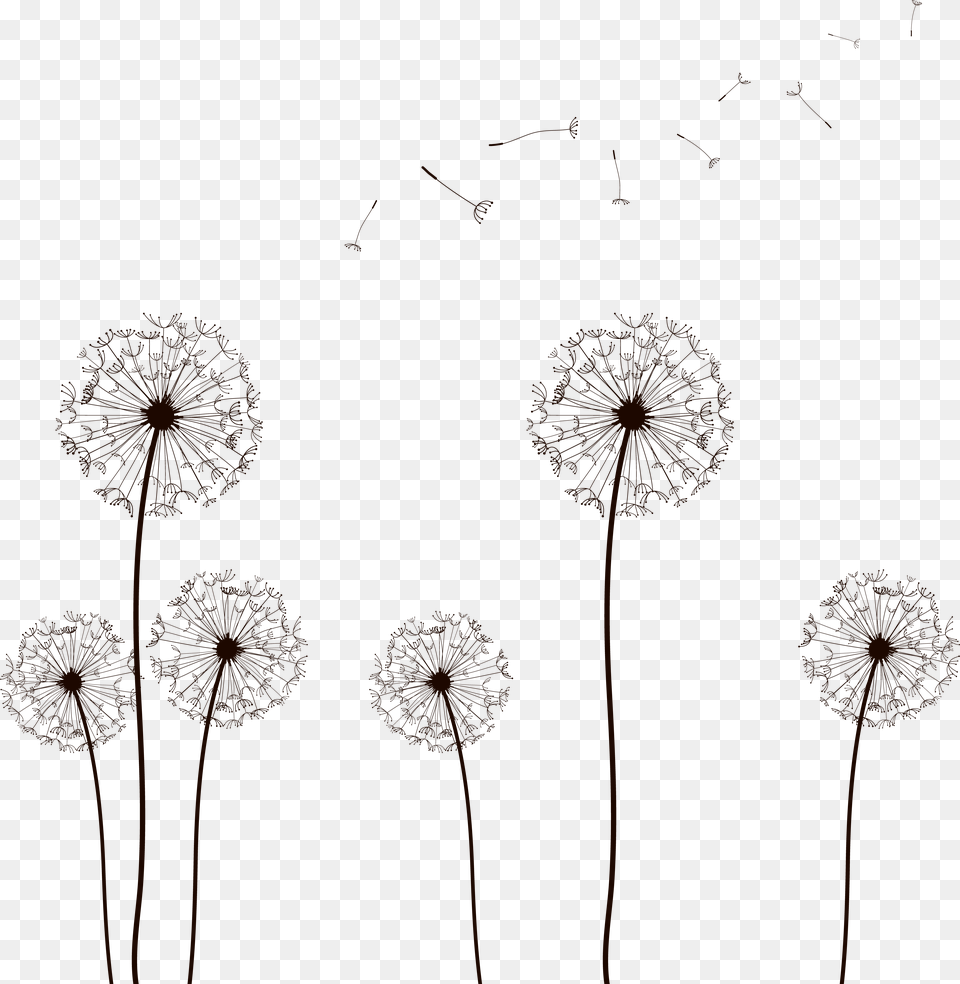 Vector Dandelion Vector 02 By Dragonart, Flower, Plant Png Image