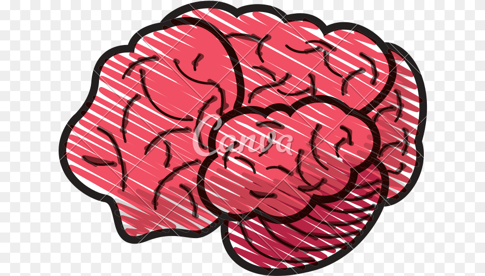 Vector Doodle Brain Cerebro Dibujo Vector, Carnation, Flower, Plant, Berry Free Transparent Png