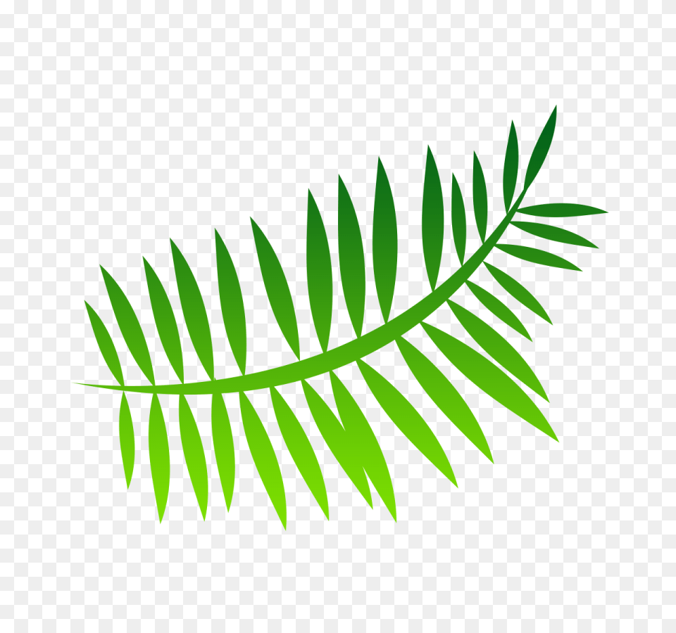Vector Fern Image Transparent Background Green, Leaf, Plant, Tree Free Png Download