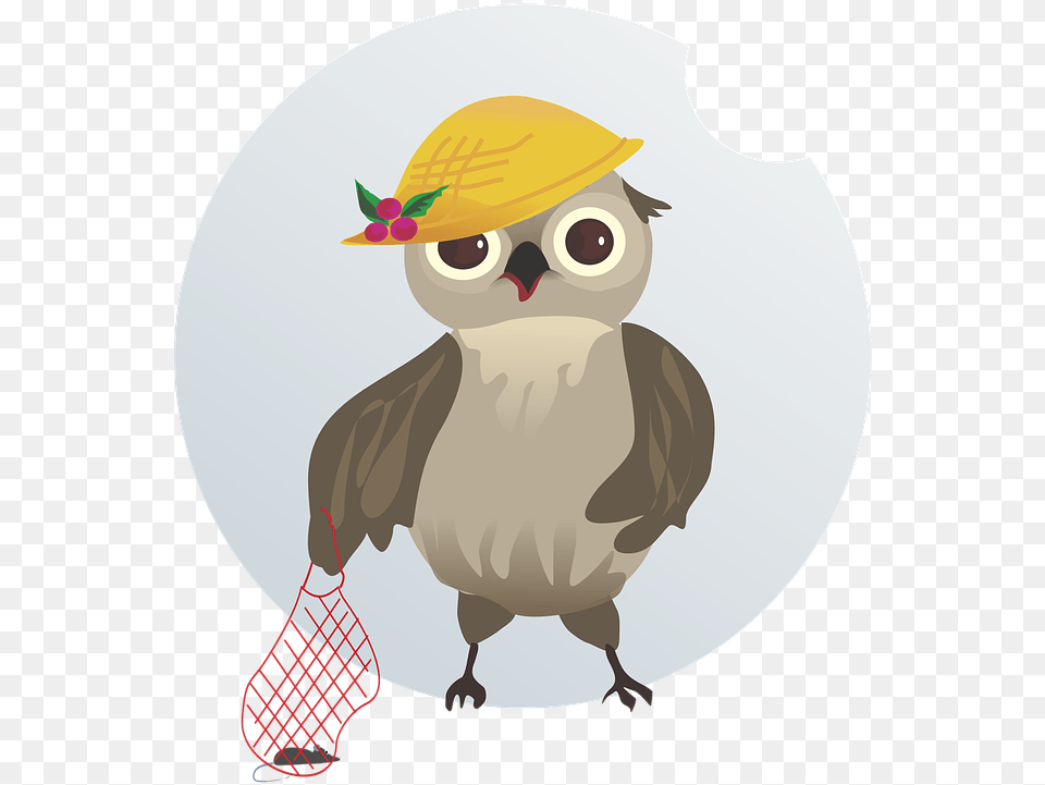 Vector Figure Bird Owl String Bag Mouse Cap, Animal, Beak, Clothing, Hat Free Png