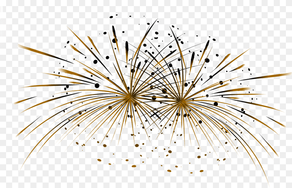 Vector Fireworks Illustration, Plant Free Transparent Png
