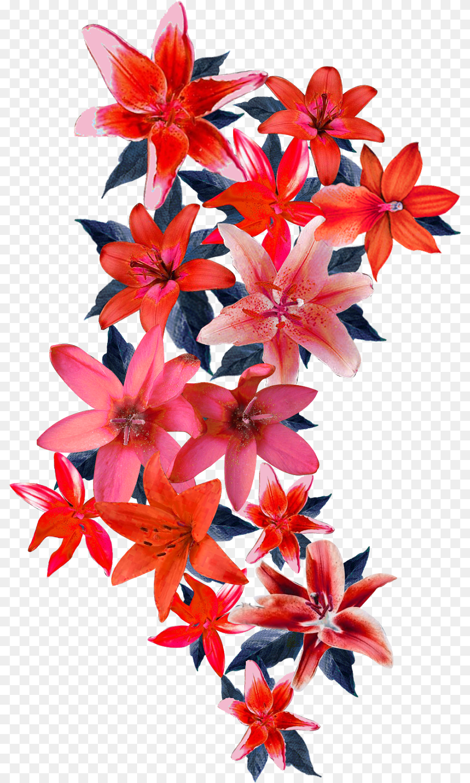 Vector Flower Design 2314 Flower Design Vector, Flower Arrangement, Plant, Flower Bouquet, Geranium Png Image