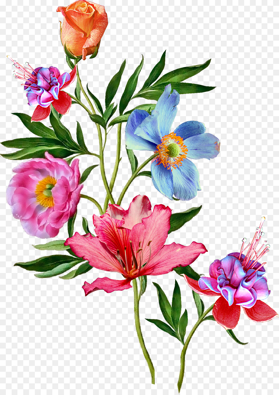 Vector Flower Plant, Art, Floral Design, Pattern, Graphics Free Png