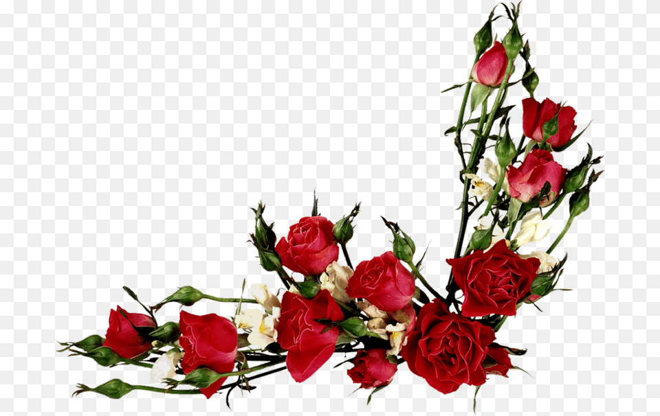 Vector Flowers Flower Clipart Vintage Roses Vintage Red Flower Vector, Flower Arrangement, Flower Bouquet, Plant, Rose Png Image